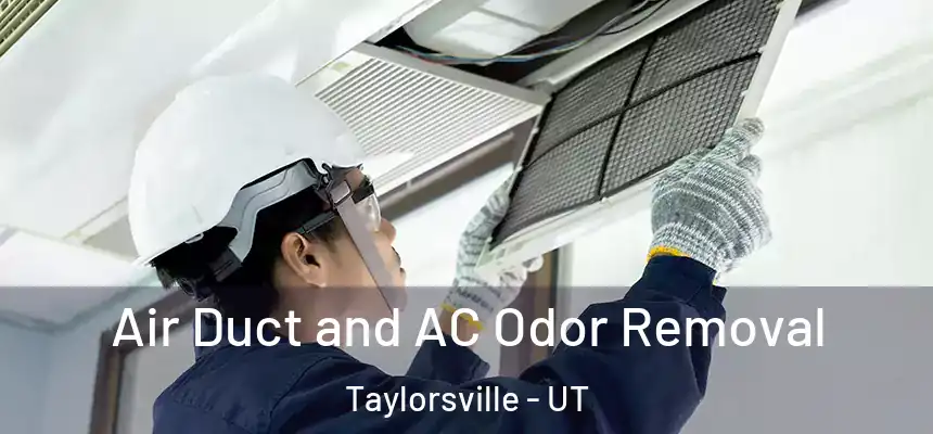 Air Duct and AC Odor Removal Taylorsville - UT