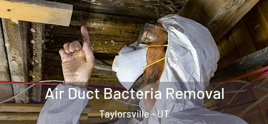  Air Duct Bacteria Removal Taylorsville - UT
