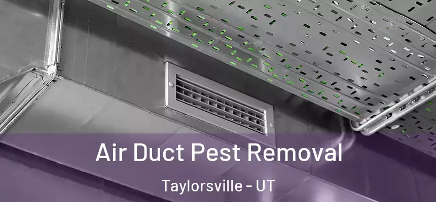  Air Duct Pest Removal Taylorsville - UT