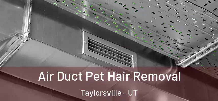 Air Duct Pet Hair Removal Taylorsville - UT