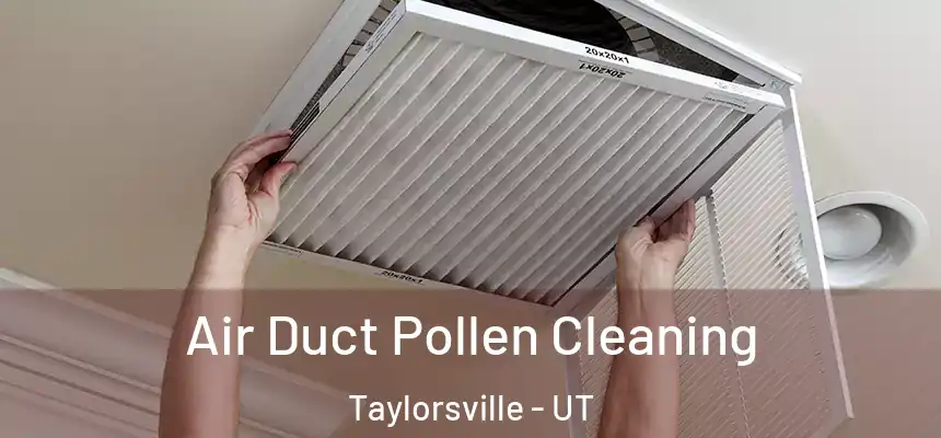  Air Duct Pollen Cleaning Taylorsville - UT