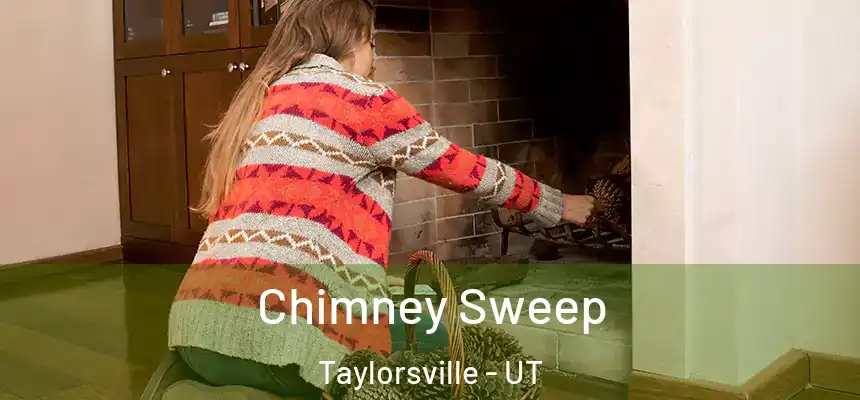 Chimney Sweep Taylorsville - UT