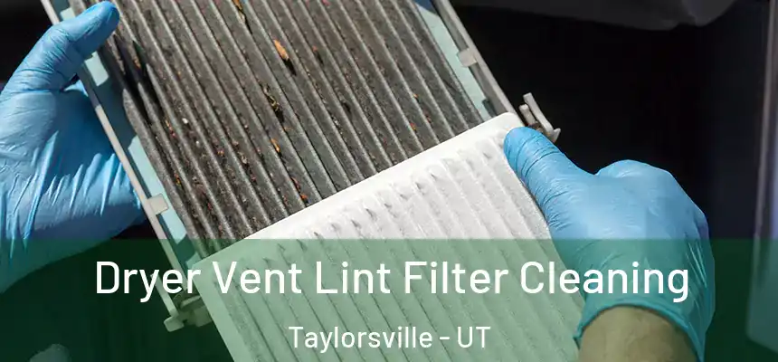 Dryer Vent Lint Filter Cleaning Taylorsville - UT