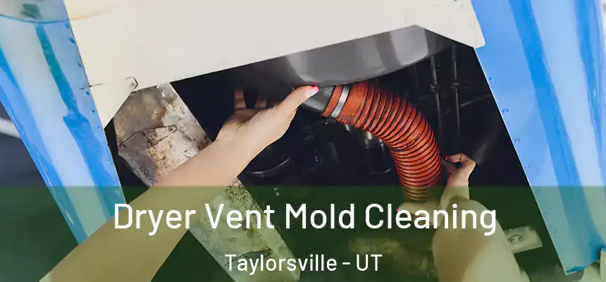 Dryer Vent Mold Cleaning Taylorsville - UT
