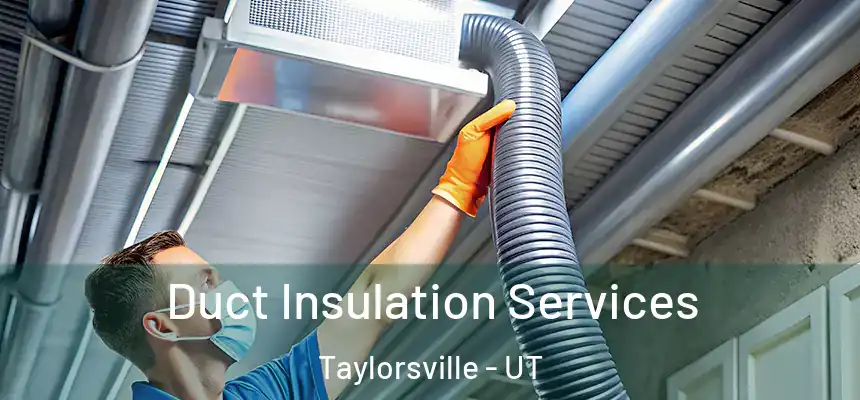 Duct Insulation Services Taylorsville - UT