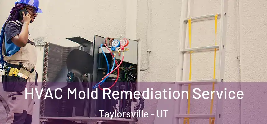 HVAC Mold Remediation Service Taylorsville - UT
