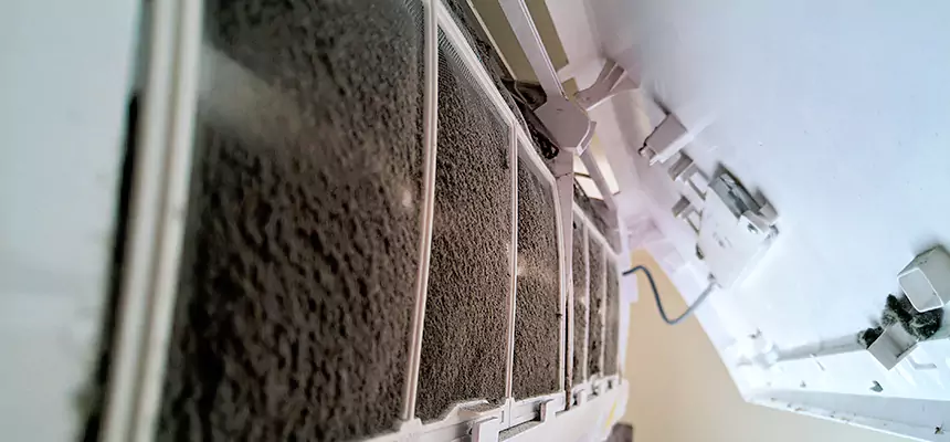 Preventive Air Duct Bacteria Removal in Taylorsville