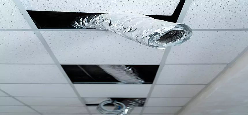 Affordable HVAC Sanitizing After Pest Removal in Taylorsville