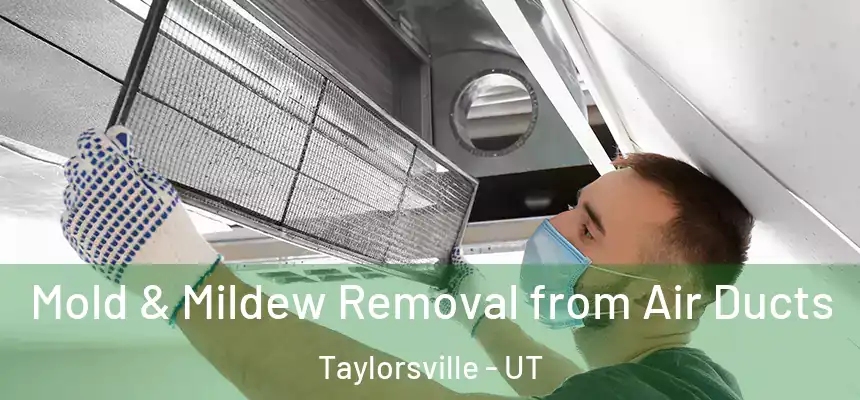  Mold & Mildew Removal from Air Ducts Taylorsville - UT