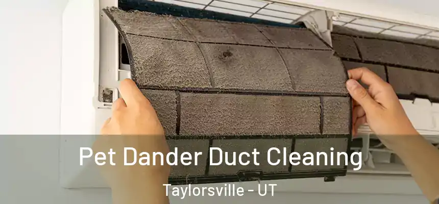 Pet Dander Duct Cleaning Taylorsville - UT