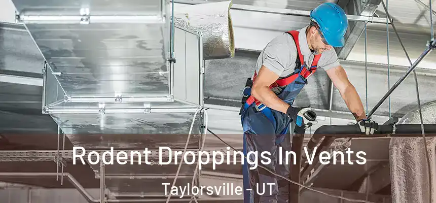 Rodent Droppings In Vents Taylorsville - UT