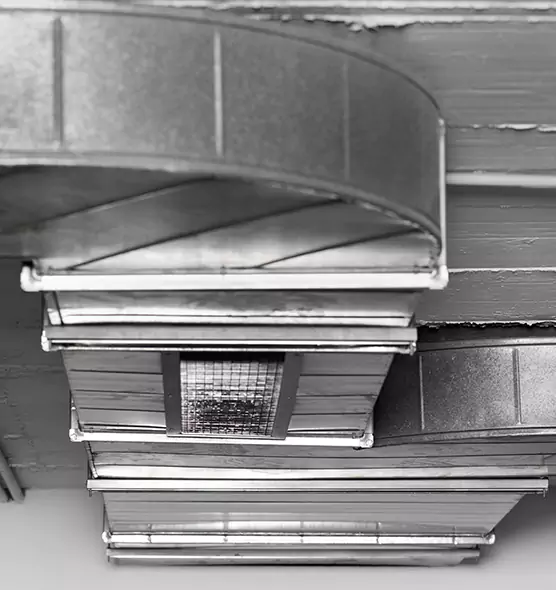 Professional Air Duct Pest Removal in Taylorsville, UT