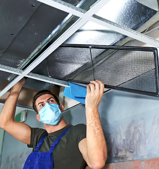 Professional Air Duct Pollen Cleaning in Taylorsville, UT