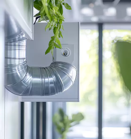 Professional Eco-Safe Dryer Vent Cleaning in Taylorsville, UT