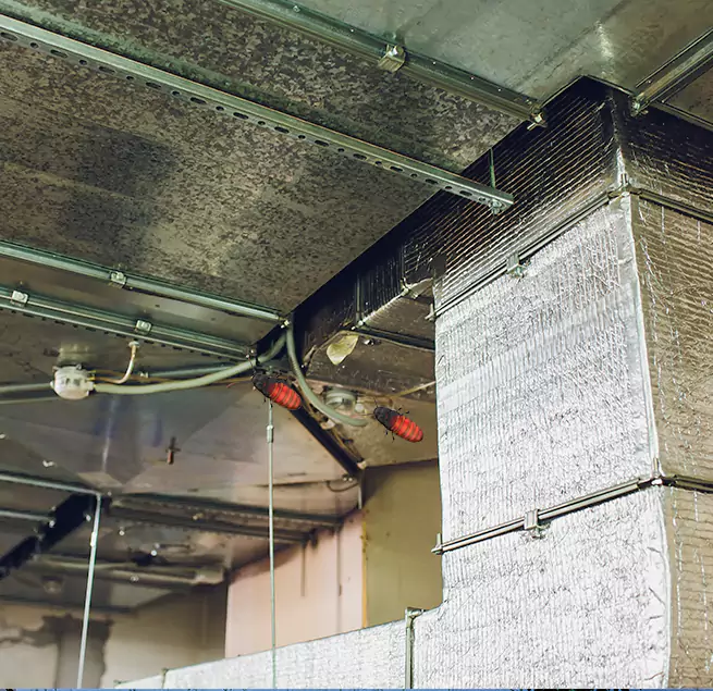 Why Homeowners & Businesses Trust Us in Taylorsville, UT?