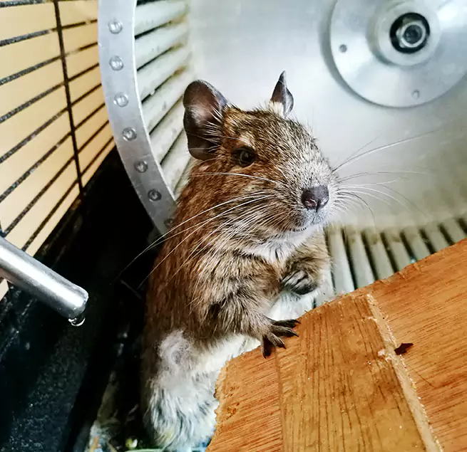 Why Homeowners & Businesses Trust Us Taylorsville, UT