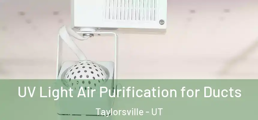  UV Light Air Purification for Ducts Taylorsville - UT